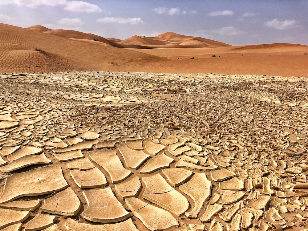 Naviguer dans les méandres des régulations sur le changement climatique : une perspective juridique