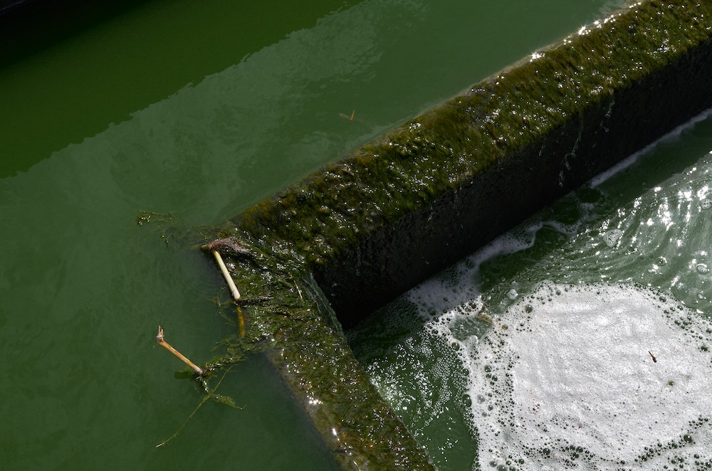 Loi sur l'assainissement des eaux usées domestiques : ce que vous devez savoir