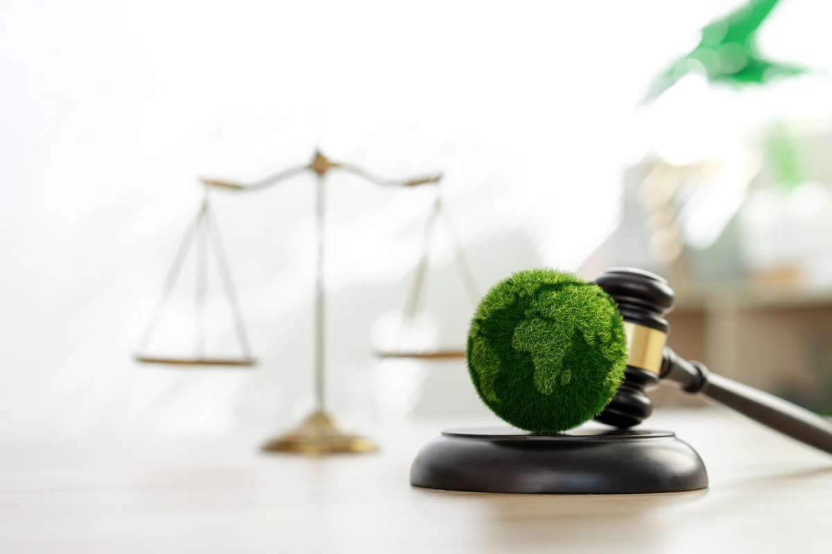 La responsabilité pénale des entreprises en matière environnementale : enjeux et perspectives